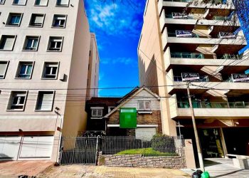 Mar del Plata: la ciudad de la taxidermia patrimonial