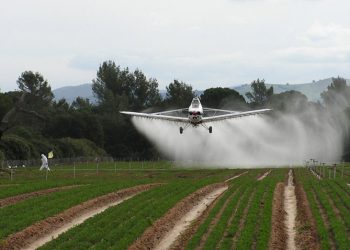 Misiones prohíbe el glifosato a partir de 2025, pero alertan sobre el uso de otros agrotóxicos