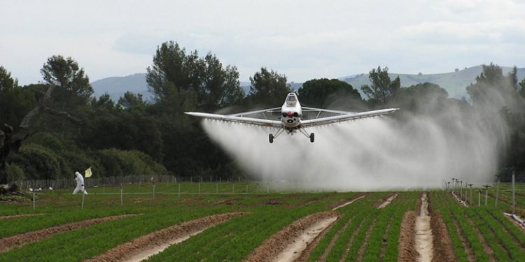 Misiones prohíbe el glifosato a partir de 2025, pero alertan sobre el uso de otros agrotóxicos