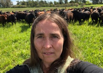 Qué dice el informe que el INTA censuró sobre glifosato en humanos