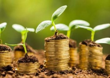 ¿Qué implica el acuerdo de Uruguay y la Unión Europea por la neutralidad de carbono cero?