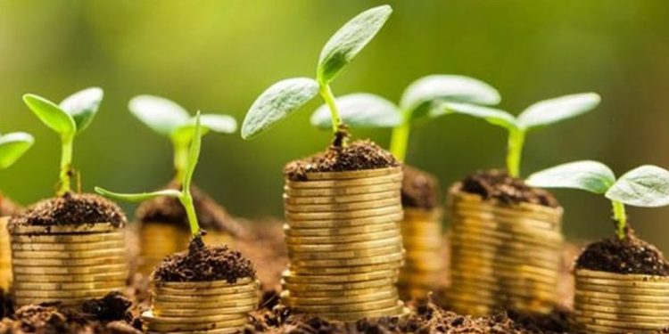 ¿Qué implica el acuerdo de Uruguay y la Unión Europea por la neutralidad de carbono cero?