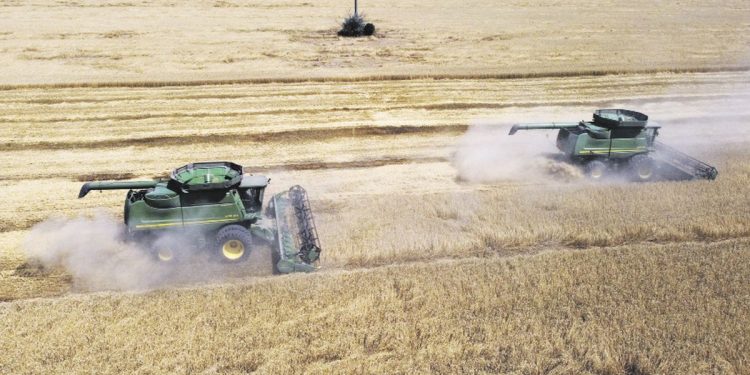 Rusia amenazó con atacar barcos civiles que se dirijan a Ucrania tras retirarse del acuerdo de granos