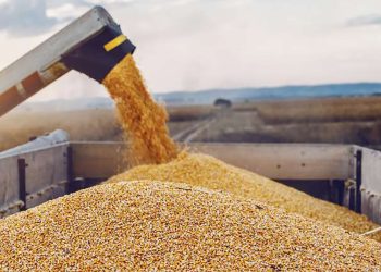 Todo puede pasar ante la incertidumbre del clima y los rumores de dólar agro