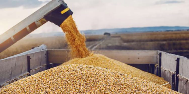 Todo puede pasar ante la incertidumbre del clima y los rumores de dólar agro