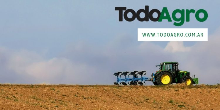 Trigo, una alternativa productiva para Formosa