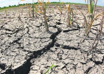 Uruguay perdió casi 2 puntos del PIB por la sequía, estiman analistas