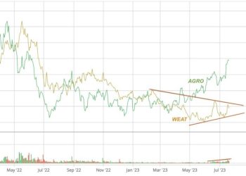 Adecoagro emerge como un actor importante en la producción de alimentos y bioenergías en América Latina