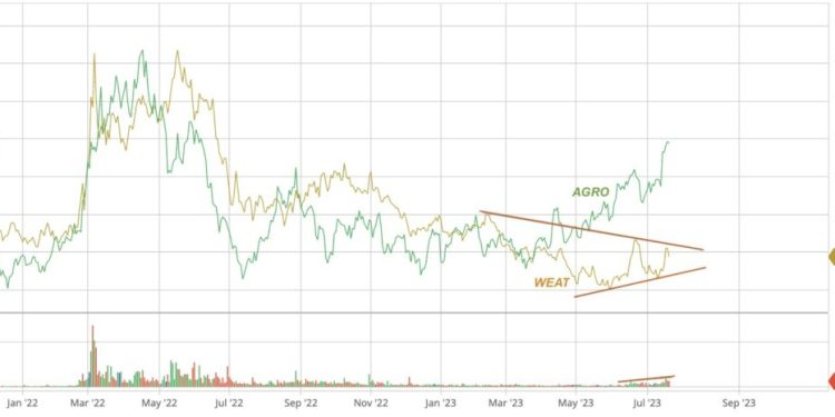 Adecoagro emerge como un actor importante en la producción de alimentos y bioenergías en América Latina