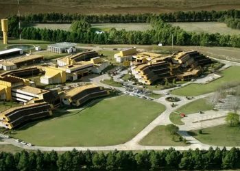 Conicet Bahía Blanca: ver a la educación como un gasto produce “un pueblo ignorante”