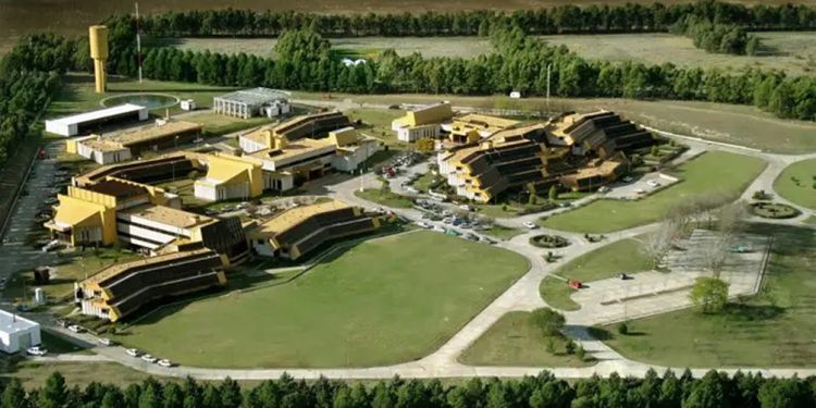 Conicet Bahía Blanca: ver a la educación como un gasto produce “un pueblo ignorante”