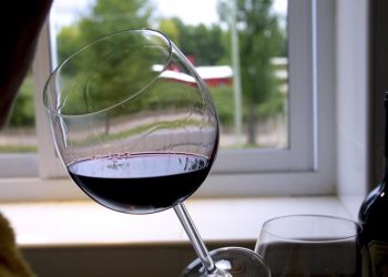 Convocan a participar de la 35 edición de la Cata de Vinos de San Juan