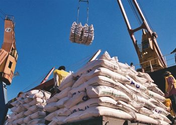 El sector arrocero cuestionó el aumento de tarifas de TCP por la pérdida de competitividad