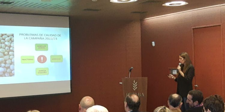 En Santa Fe y Córdoba el estrés impactó en la calidad de las semillas y habrá que analizarlas