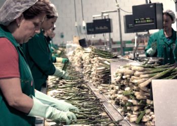 Enseñanza, servicios sociales y salud: los sectores con mayor presencia laboral femenina