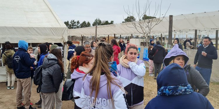 Escuelas agrotécnicas: Un semillero de mano obra calificada