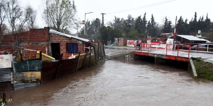 Estudiantes y Gimnasia, unidos por la inundación en La Plata