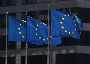 Google, Meta y Amazon en alerta: entra en vigencia la Ley de Servicios Digitales (LSD) europea