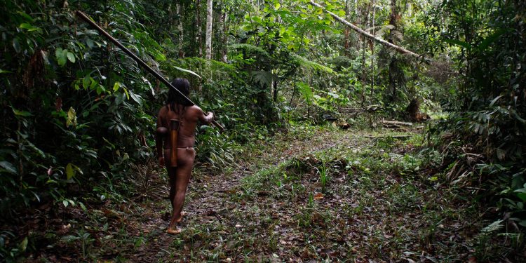 Los ecuatorianos van a una consulta inédita: explotar o no petróleo en una reserva única