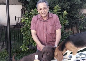 Más falsos que billete de tres pesos: los detalles del segundo peritaje en la causa de los Cuadernos