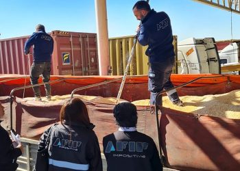 Productores vendieron más de 493.000 toneladas de maíz