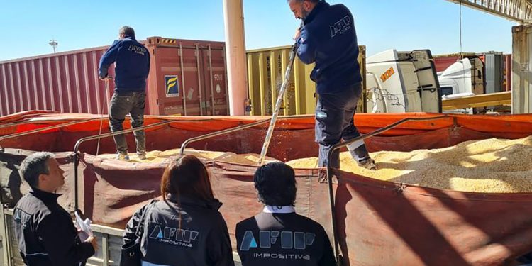 Productores vendieron más de 493.000 toneladas de maíz