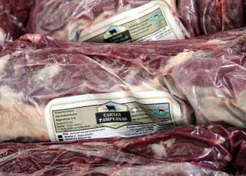 Proponen crear una ley para incrementar el potencial exportador