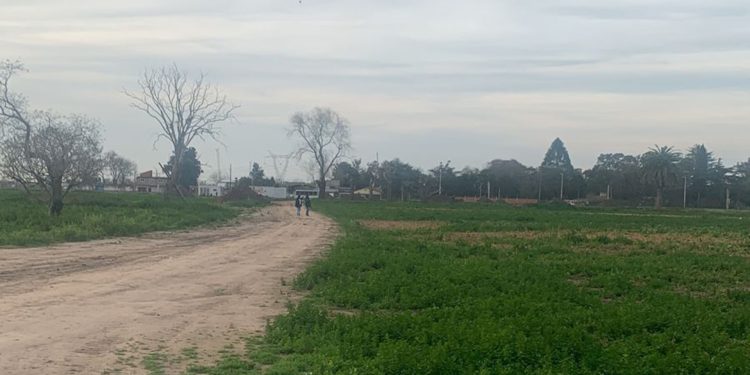“Soy inocente de lo que se me culpa”, dijo la detenida por el crimen del empresario