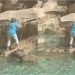 Trepó la Fontana di Trevi, cargó agua en su botella y se llevó una sorpresa inesperada