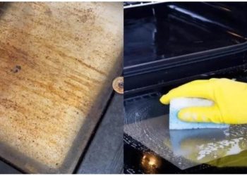 Viral en TikTok: creó un método para limpiar la grasa del horno y es furor