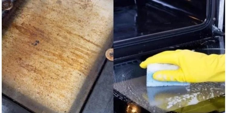 Viral en TikTok: creó un método para limpiar la grasa del horno y es furor