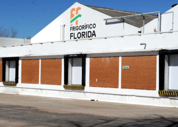 Volvió a funcionar el Frigorífico Florida, a la espera de la habilitación de China