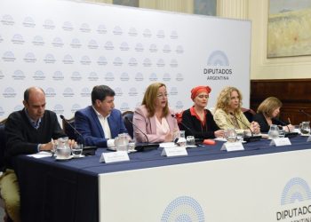 Cecilia Moreau: «Las mejores leyes sociales se construyen desde afuera hacia adentro»