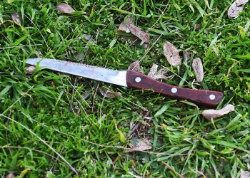 Confirman que había sangre humana en el cuchillo secuestrado por el crimen del ingeniero