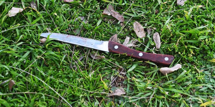 Confirman que había sangre humana en el cuchillo secuestrado por el crimen del ingeniero