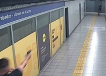 Declararon inimputable al hombre que le quitó el arma y mató a una mujer policía en Retiro