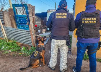 Desarticularon una banda narco en Mar del Plata y detuvieron a siete de sus integrantes