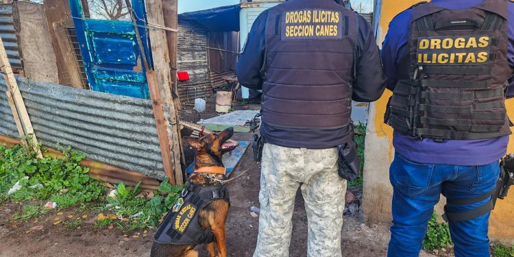 Desarticularon una banda narco en Mar del Plata y detuvieron a siete de sus integrantes