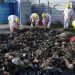 El 90% de los residuos retirados del Riachuelo son plásticos y restos de poda
