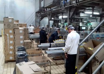 El otro lado del trabajo repetitivo: cuando el dolor se naturaliza y se silencia