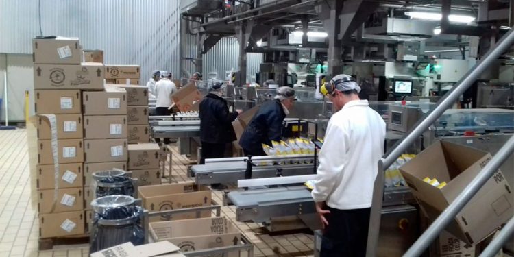El otro lado del trabajo repetitivo: cuando el dolor se naturaliza y se silencia