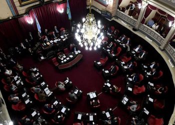 El Senado bonaerense trata la adhesión a la Ley Lucio