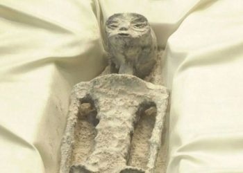 Expertos aseguran que los cuerpos extraterrestres presentados en México son falsos