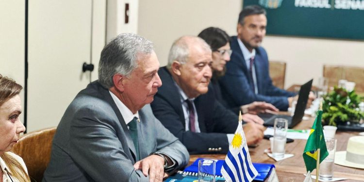 Fernando Mattos no considera que los lácteos uruguayos perjudiquen a productores brasileños