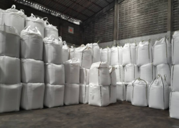 Fitosanitarios: clausuras e intimaciones