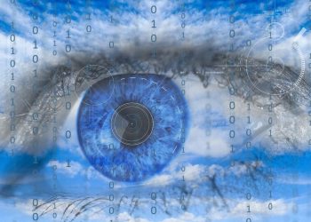 La Fiscalía solicitó la imputación del exdirector de Vertical Skies por espionaje a senadores