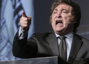 La “salud libertaria”: los números oficiales de la inversión del Estado y cómo sería el modelo Milei