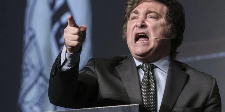 La “salud libertaria”: los números oficiales de la inversión del Estado y cómo sería el modelo Milei