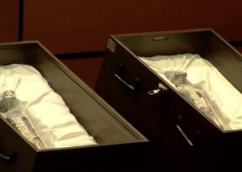 México les da la bienvenida a los extraterrestres: presentaron alienígenas en el Congreso