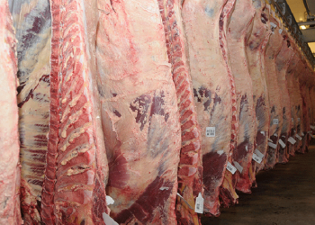 Minerva: ¿Qué evaluará Defensa de la Competencia para avalar o frenar la operación?